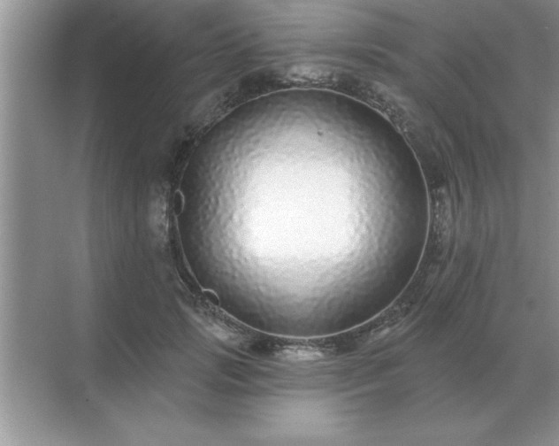 X0000071820749200607072143