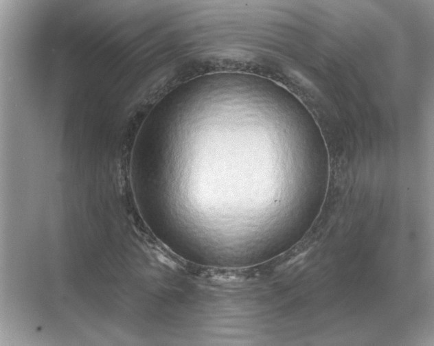X0000071820774200607072142