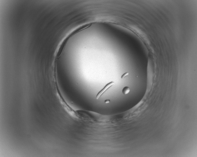 X0000071820816200607072141