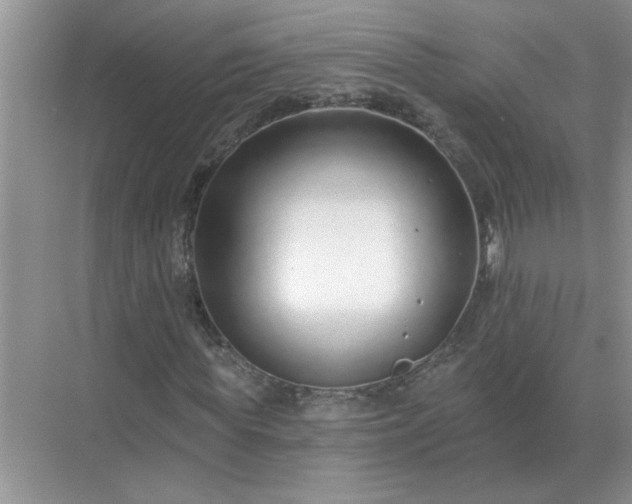 X0000071820819200607072141