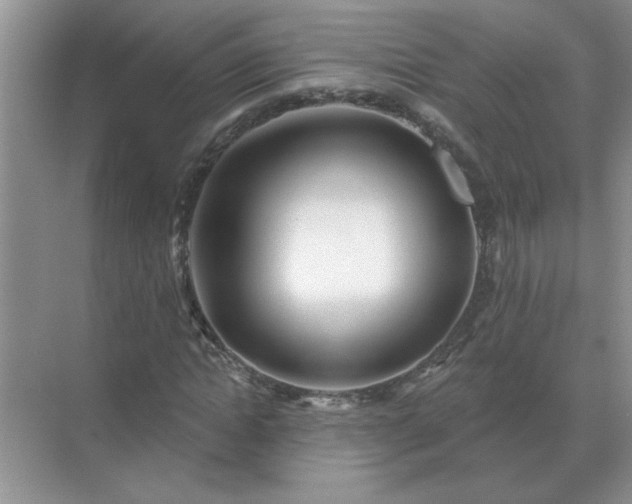 X0000071820822200607072141