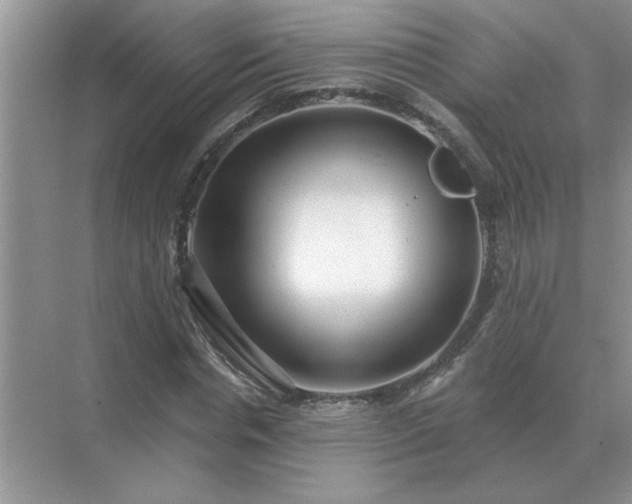 X0000071820826200607072141