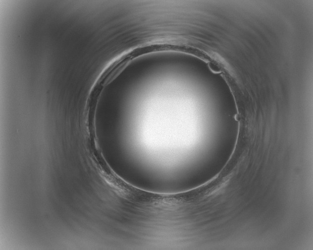 X0000071820830200607072141