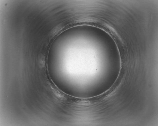 X0000071820833200607072141