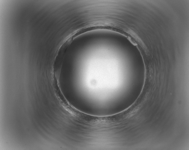 X0000071820834200607072141