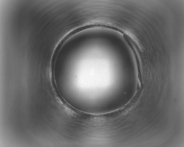 X0000071820888200607072140