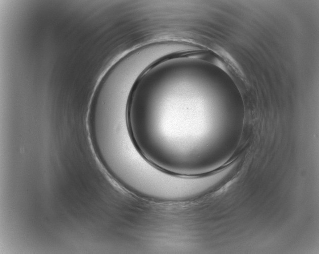 X0000071820893200607072140