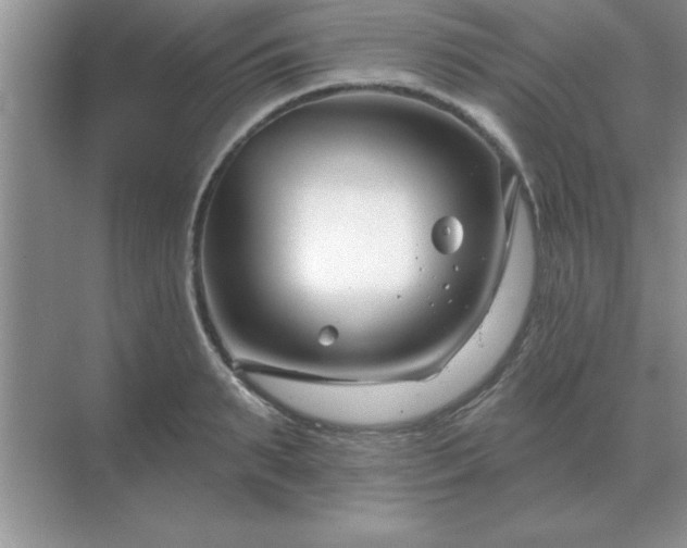 X0000071820895200607072140