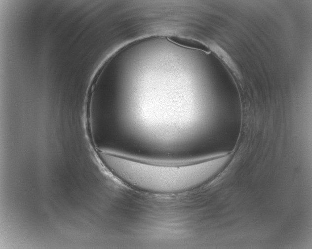X0000071820904200607072140
