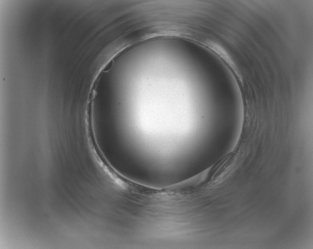 X0000071820906200607072140