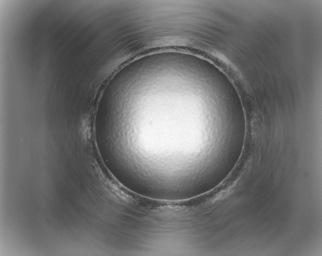 X0000071820929200607072139