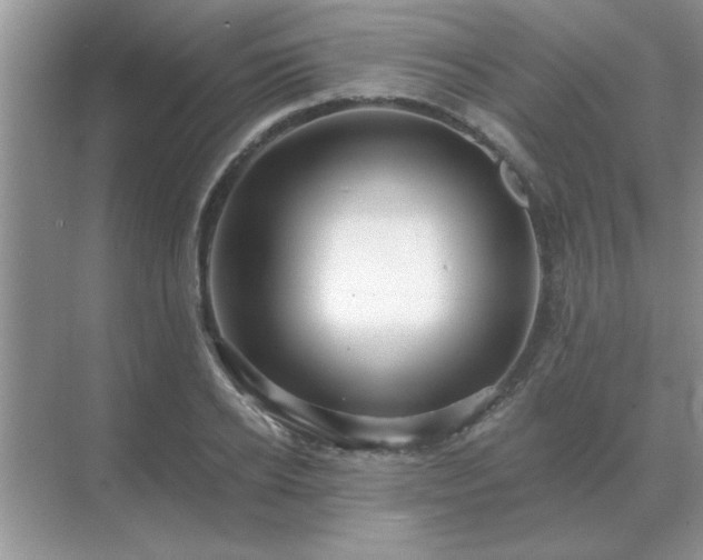 X0000071820934200607072139