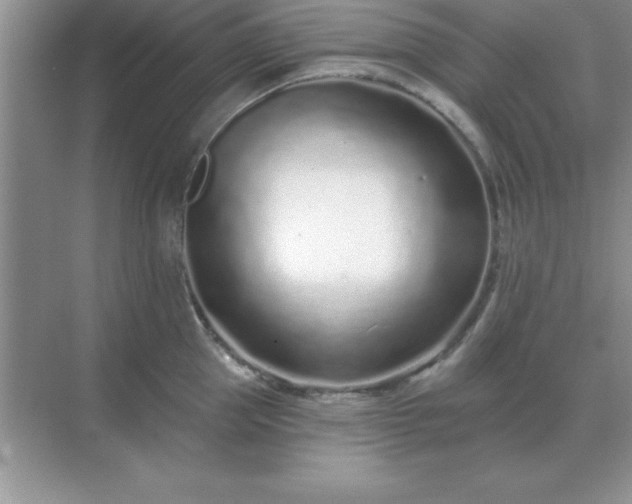 X0000071820953200607072140