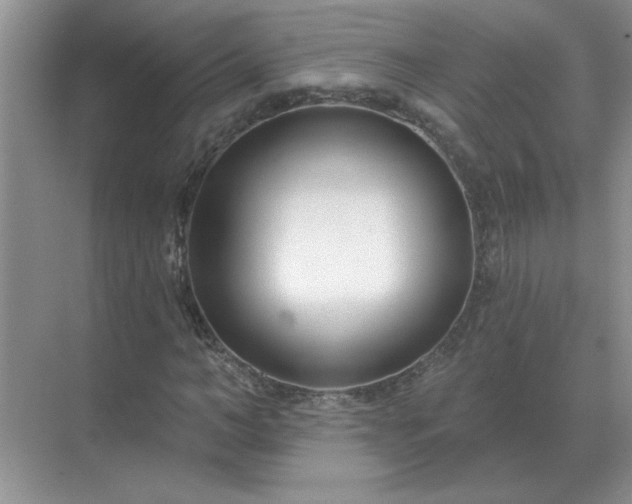 X0000071820966200607072139