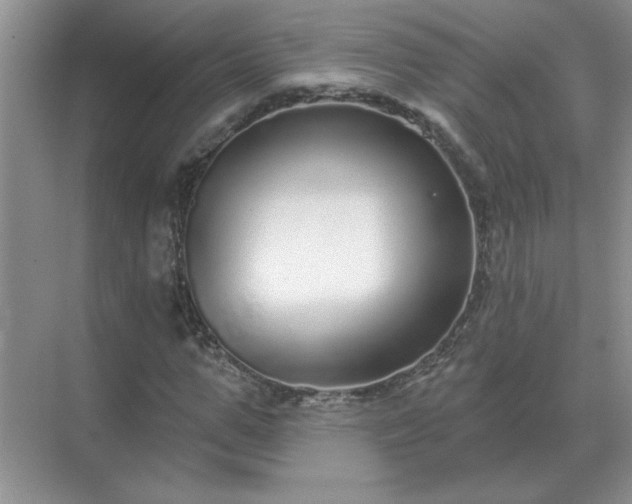 X0000071820967200607072139