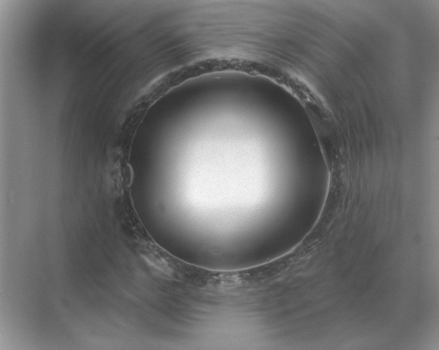 X0000071820968200607072139