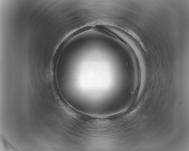 X0000071820981200607072139