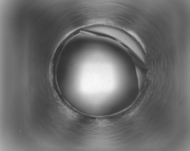 X0000071820983200607072139