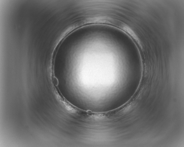 X0000071820994200607072138
