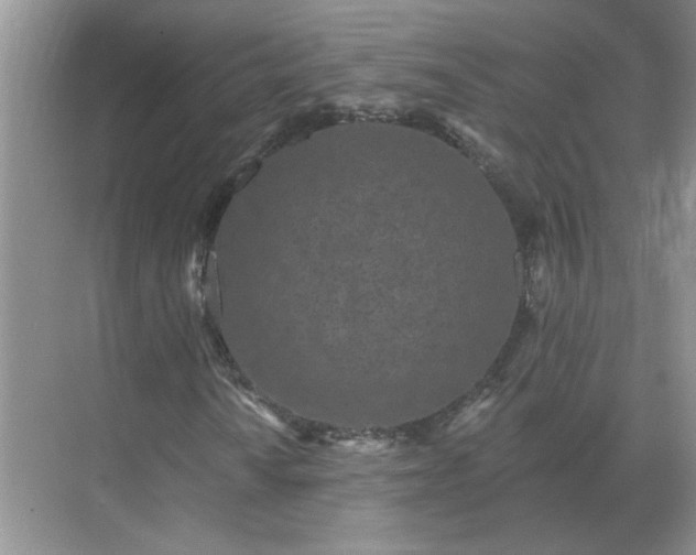 X0000071821010200607072137