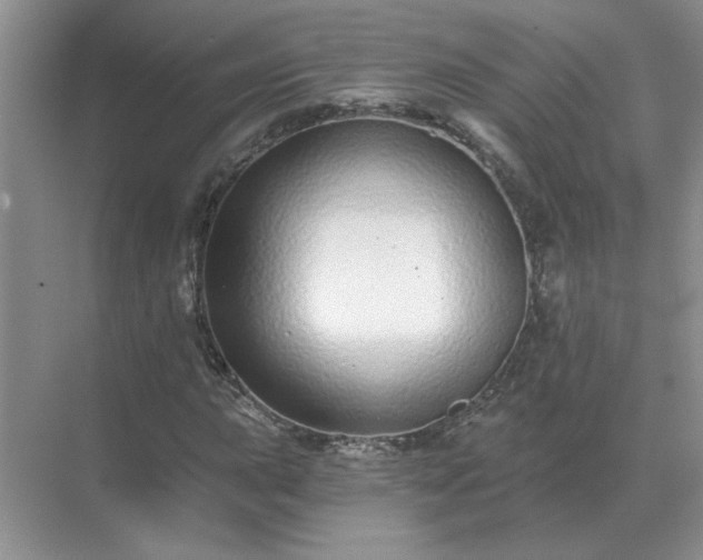X0000071821015200607072137