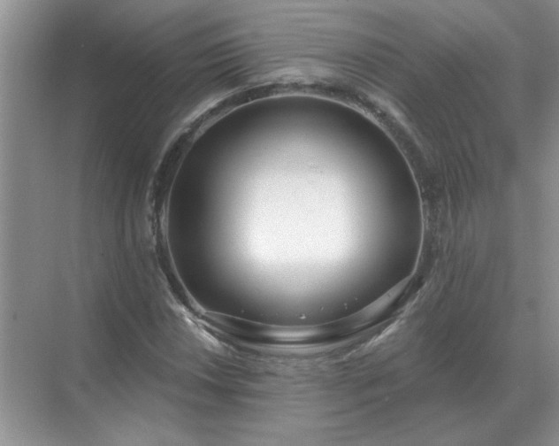X0000071821018200607072138