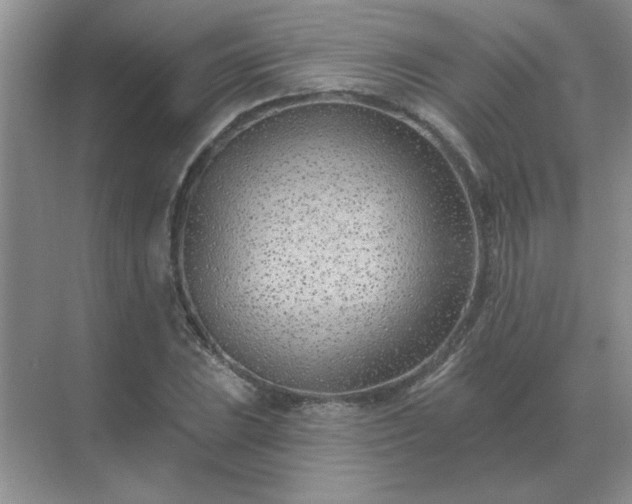 X0000071821023200607072138