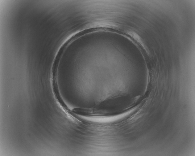 X0000071821024200607072138