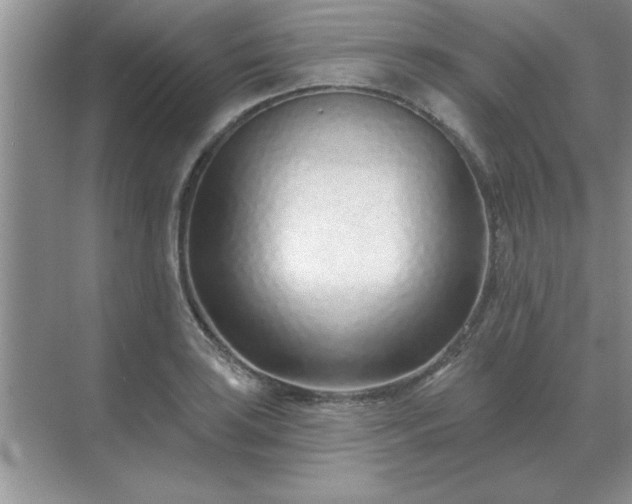 X0000071821035200607072138