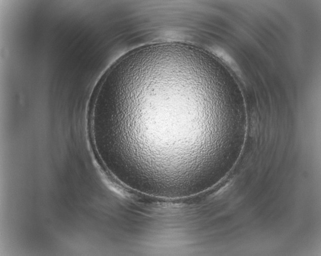 X0000071821039200607072138