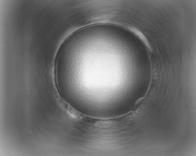 X0000071821051200607072138
