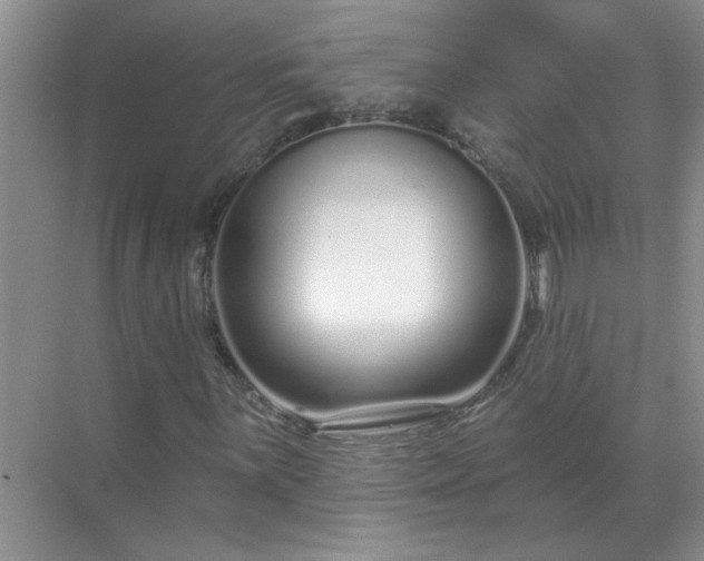 X0000071821059200607072137