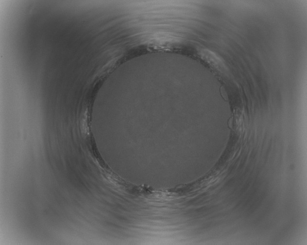 X0000071821060200607072137