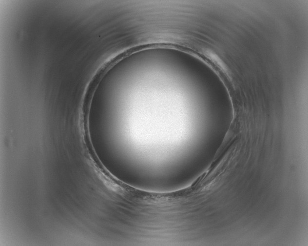 X0000071821072200607072137