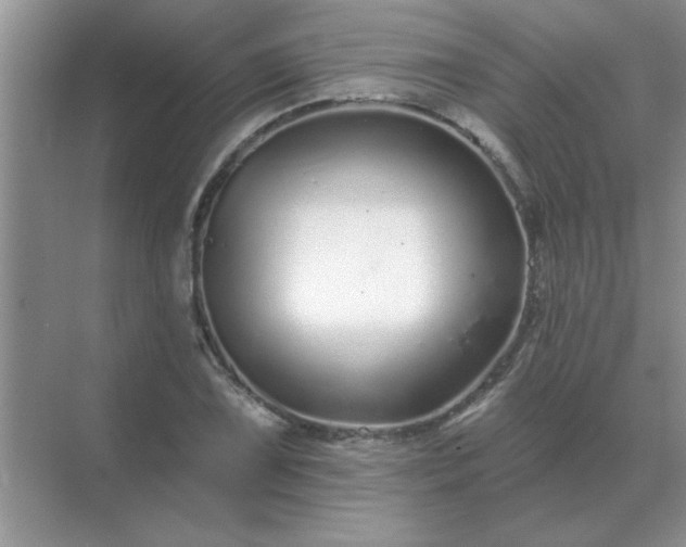 X0000071821075200607072137