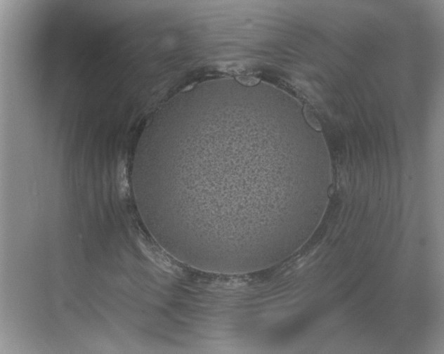 X0000071821106200607072136