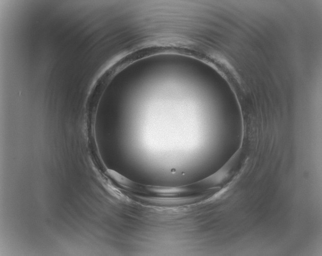 X0000071821114200607072136