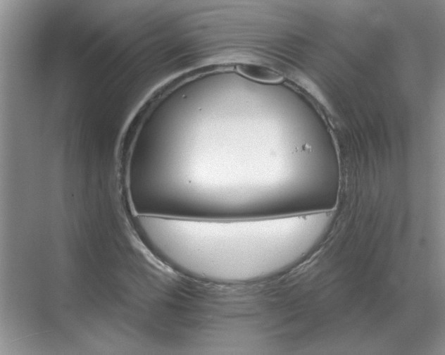 X0000071821116200607072136