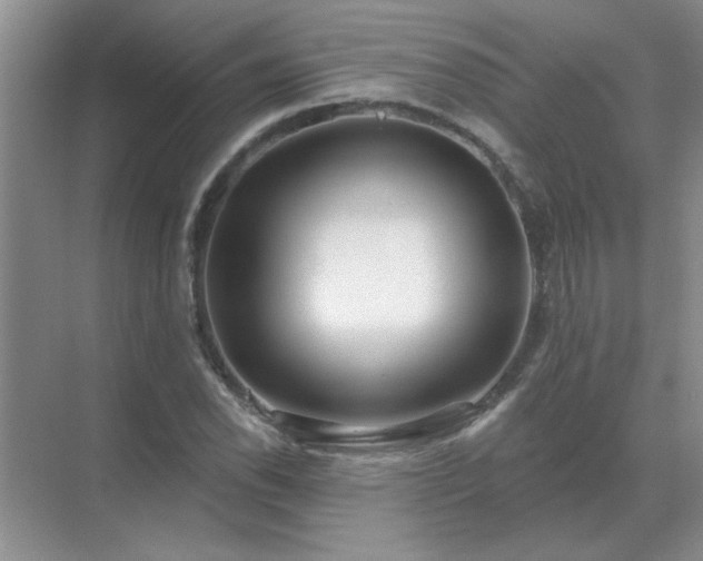 X0000071821118200607072136