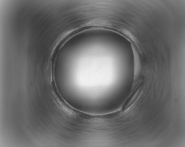 X0000071821123200607072136