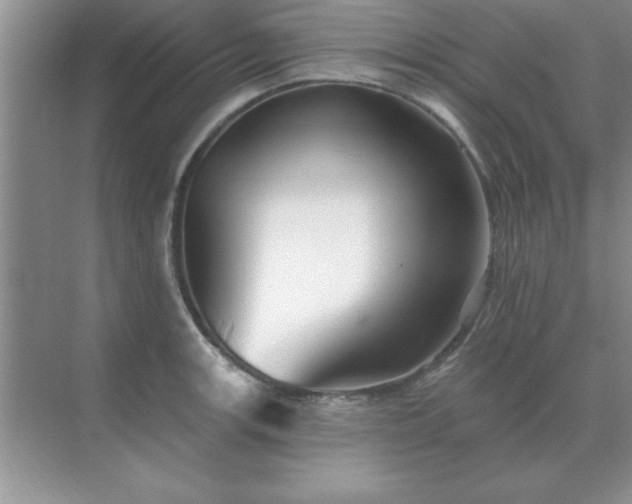 X0000071821139200607072136