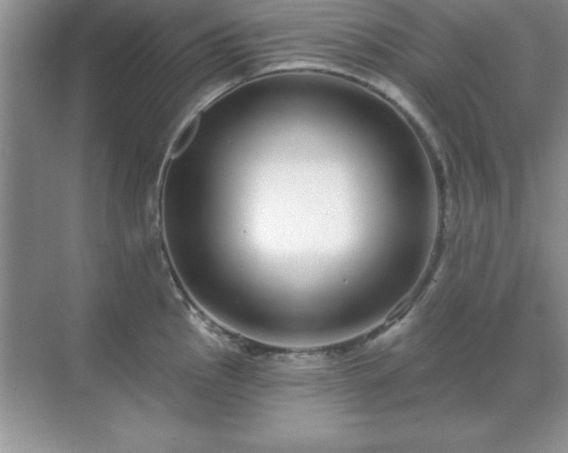 X0000071821145200607072136