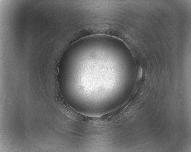 X0000071821153200607072136