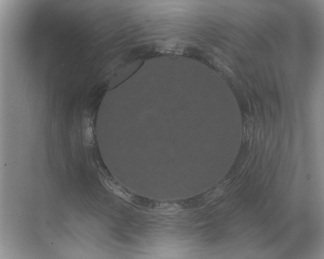 X0000071821154200607072136