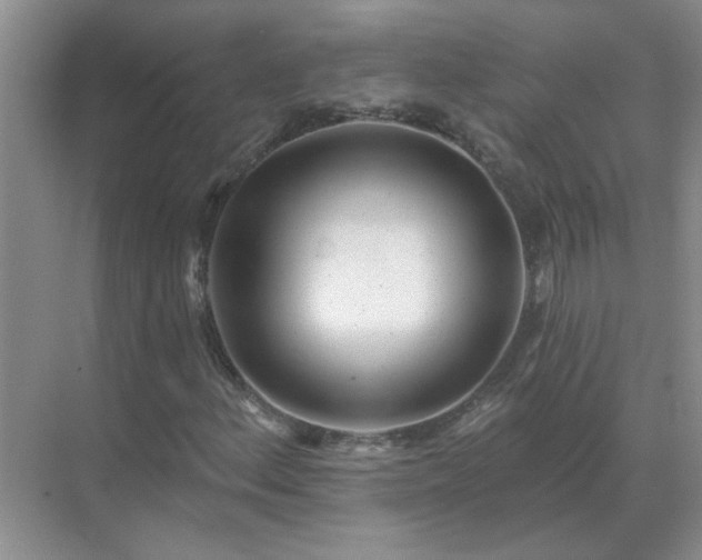 X0000071821156200607072136
