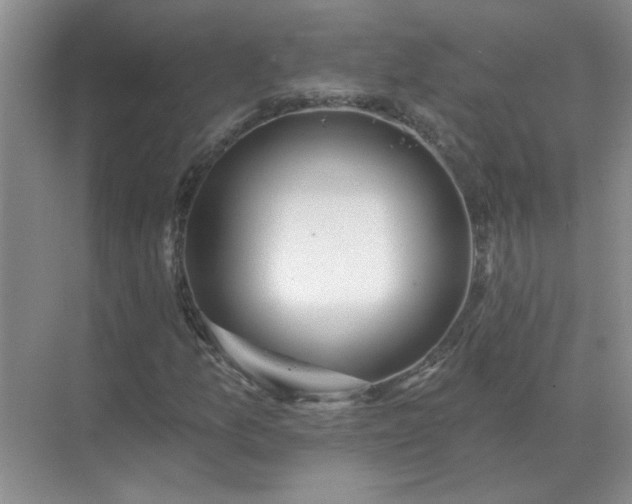 X0000071821157200607072136