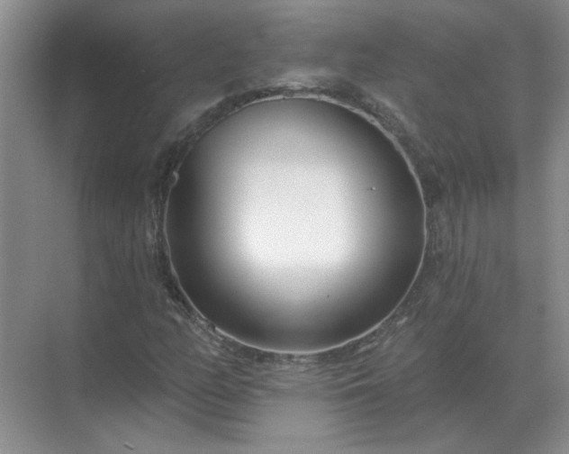 X0000071821158200607072136