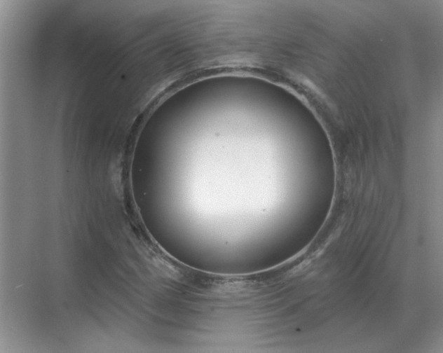 X0000071821162200607072136