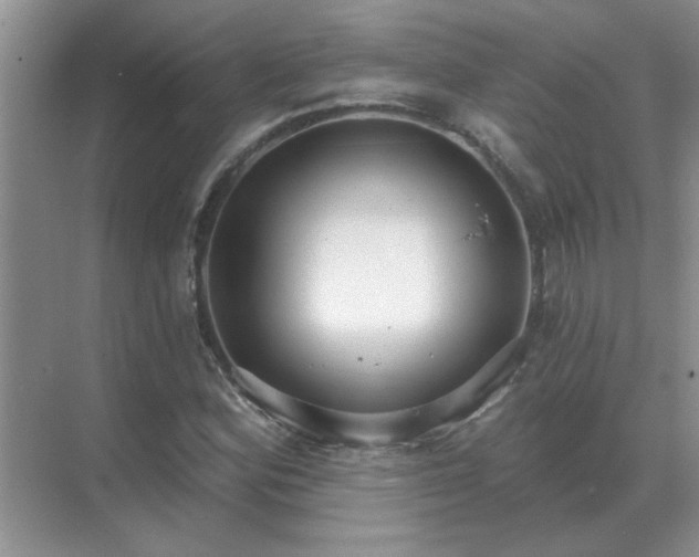 X0000071821164200607072136