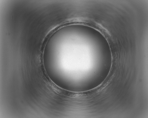 X0000071821166200607072136